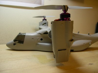 osprey (28).jpg