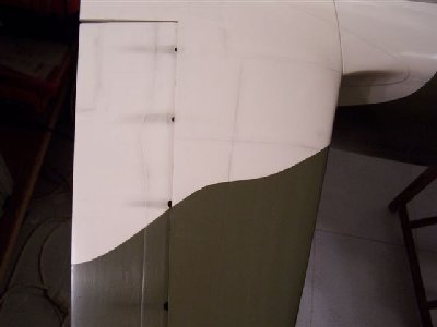 albatros 255.jpg