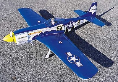 P51 D.jpg