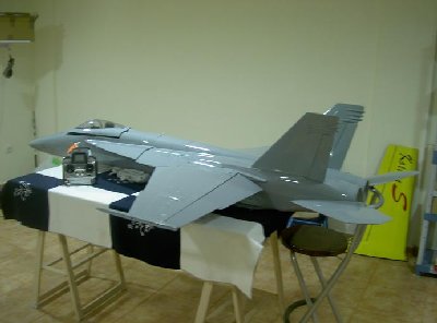 F-18 Tras.JPG