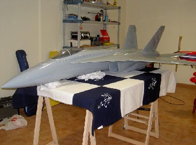 F-18 Lat.JPG