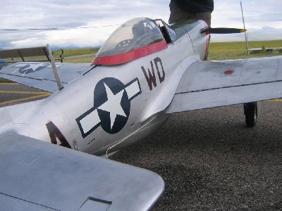 MUSTANG P51.JPG