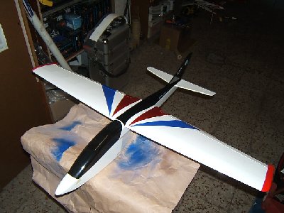 EDF Pintura 008.JPG