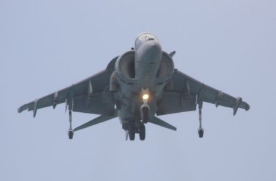 harrier frente.jpg