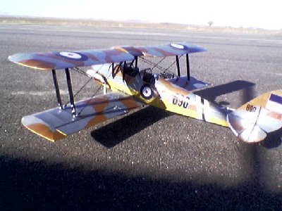 t_t_tiger_moth_002_207_128[1].jpg