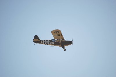 piper-1.JPG