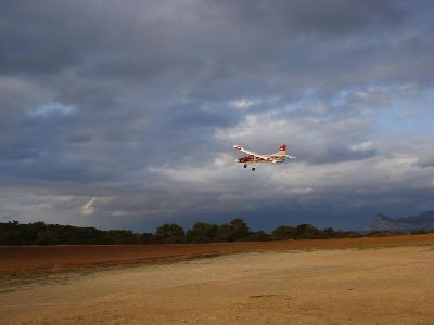 En vuelo.JPG