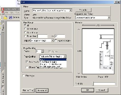 print scale tem.JPG