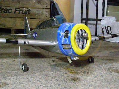 p-47 frente bajo.JPG