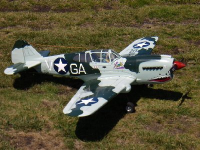 P-40.JPG