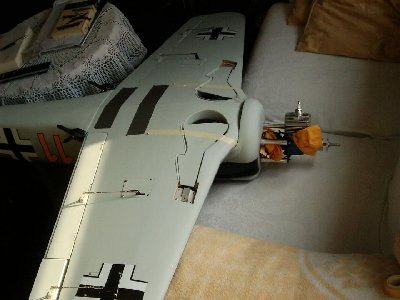 fw1903.JPG