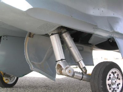 Pata F 18, una pasada.JPG