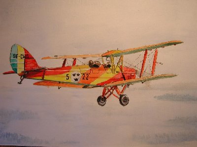 Tiger Moth.jpg