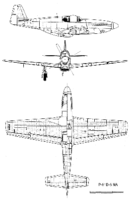 dibujo p51.gif