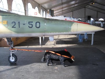 F-5 JWM2009-3.jpg