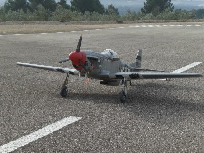 p51-1.jpg