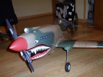 P-40 003.JPG