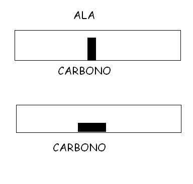 FIBRA CARBONO.JPG