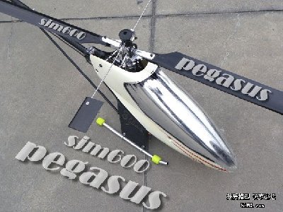 SJM_PEGASUS 600_2.jpg