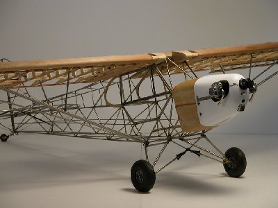 Cub11.jpg