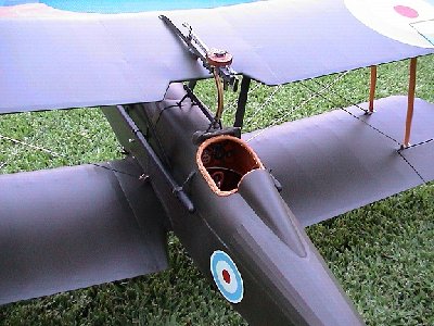 SE5A 20.jpg