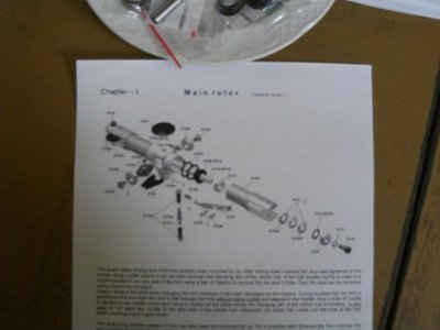 tdr-rotor principal-1.JPG