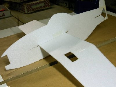 micro mustin 005(1).jpg