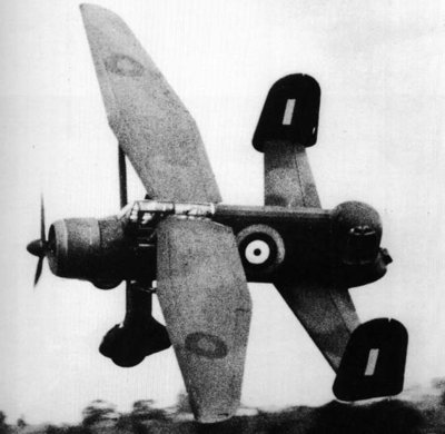 lysander P12 a.jpg