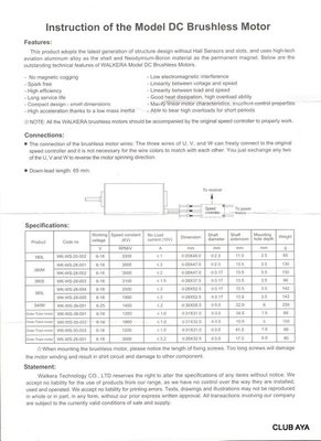 Motor WLK 001.jpg