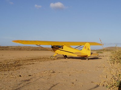 Piper Cub.jpg