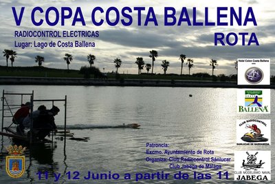 CARTEL 2011 copia.jpg