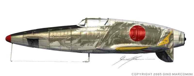 Shinden-sideview.jpg