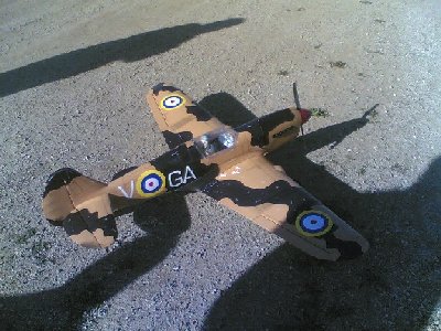 P40 aterrizado.jpg