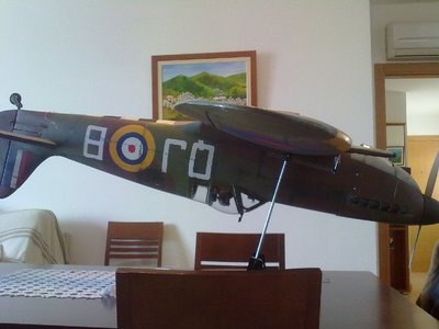 spitfire 1.80 noviembre 2010 094.jpg