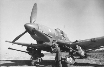 Junkers_Ju-87G.jpg