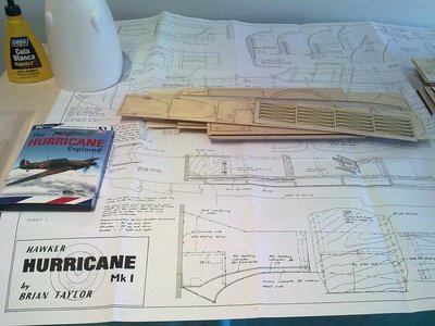 brian taylor hurricane 001.jpg