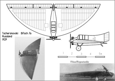 KN_1929_Flywing_Draw_Mini_Tscheranovski BiTsch7a.jpg