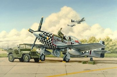 p-51 Primping_the_Doll.jpg