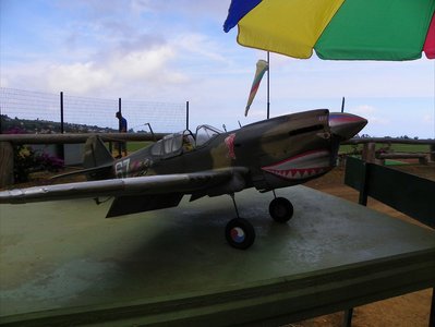 p40 7.jpg