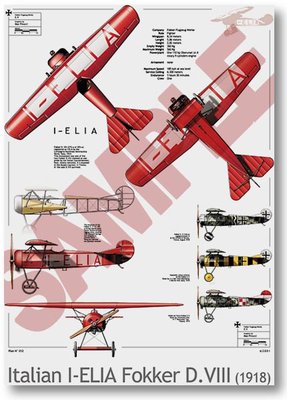 poster_fokker_DVIII3.jpg