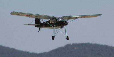 fieseler storch1.jpg