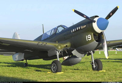 P-40 19_resize.jpg