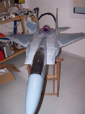 f-15 x 007.jpg