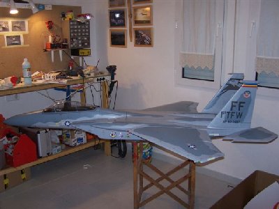 f-15 x 010.jpg