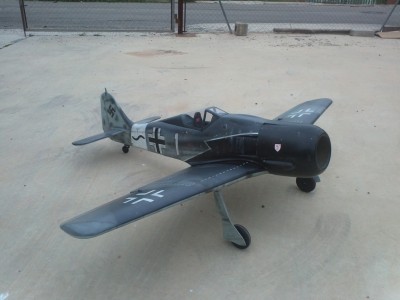 focke wulf terminado.jpg