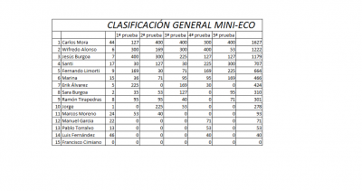 clasificación general  mini-eco.png