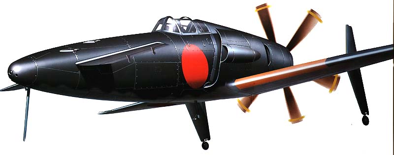 shinden4.jpg