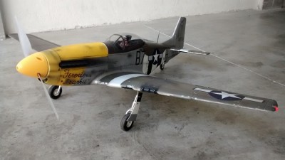 P51.jpg