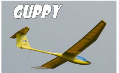 Guppy-1.jpg