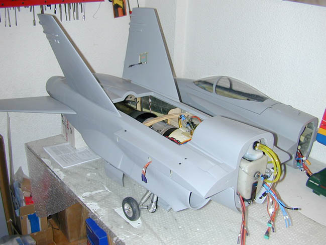 hornet06.jpg